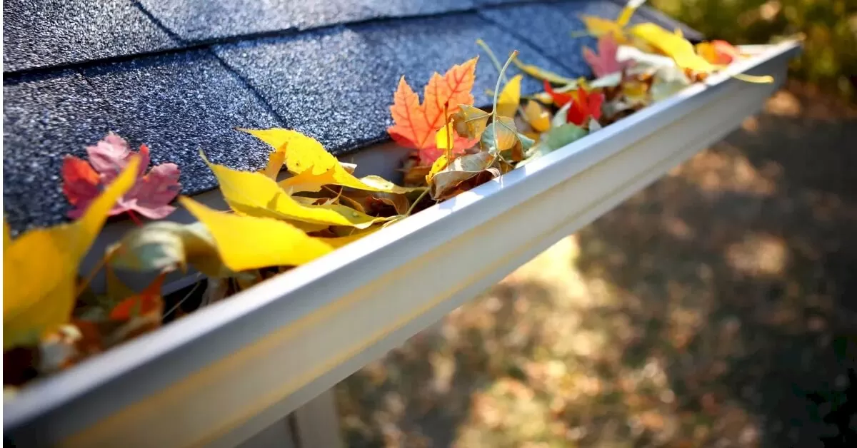 Clogged Gutters