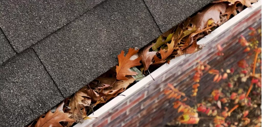 Dirty Gutters