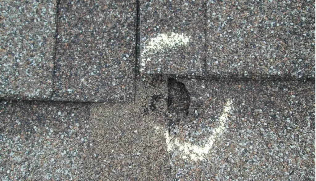 Hail Damage Shingle Roof