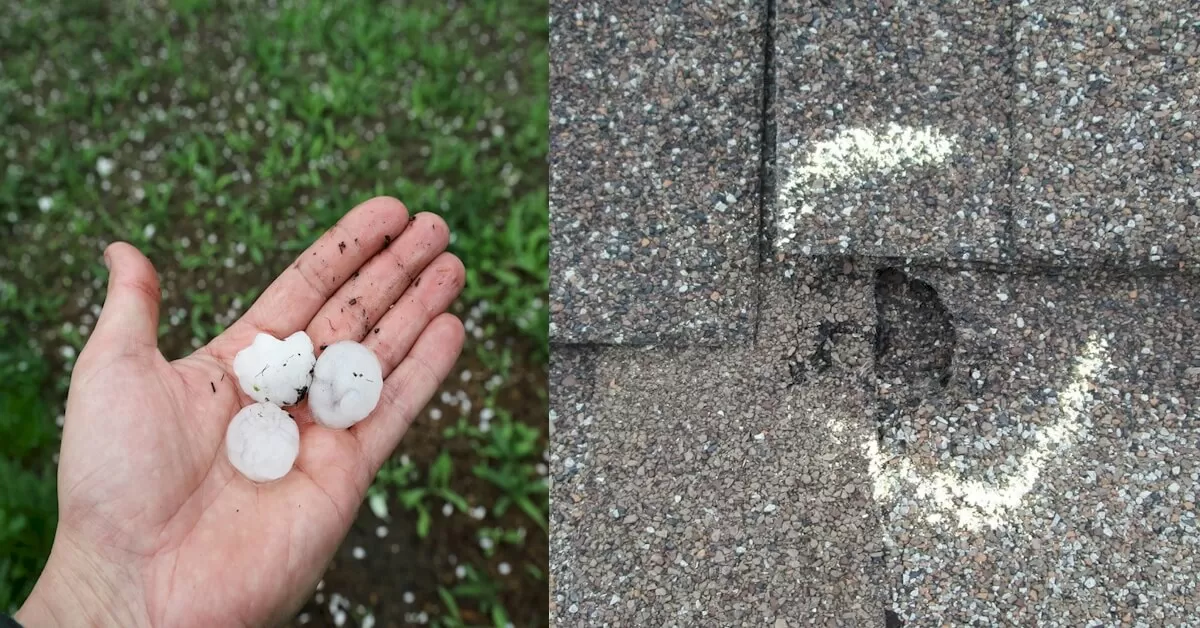 Hail Damaging Roof1