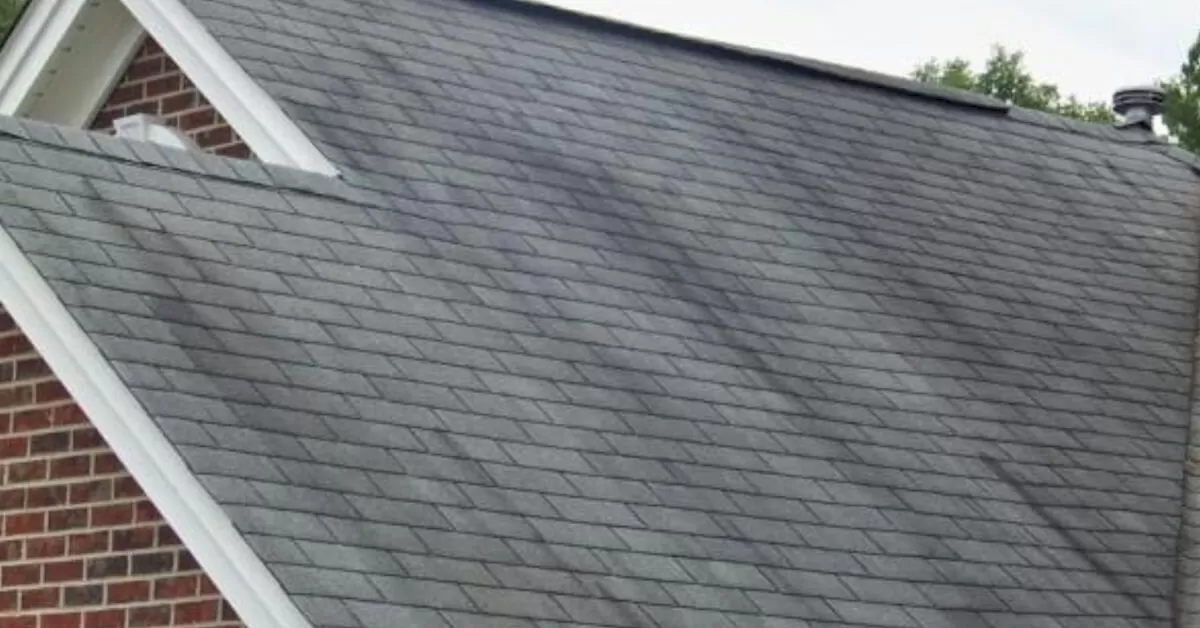 Black Streaks Roof