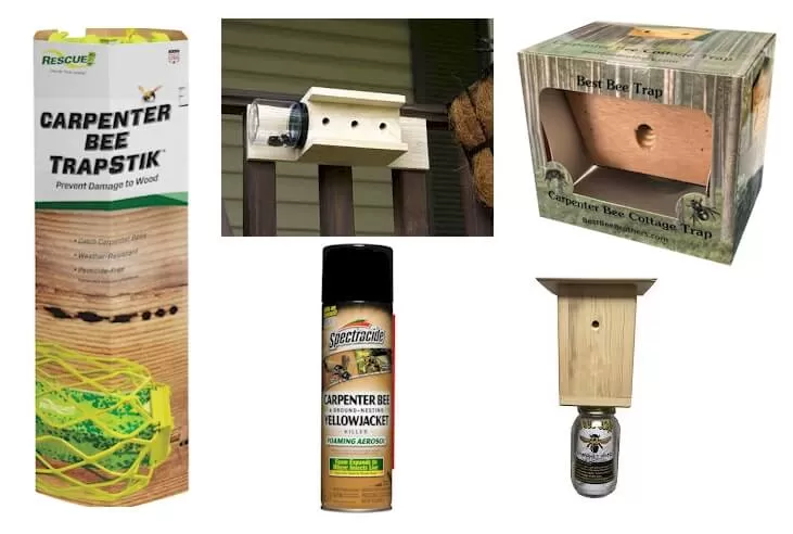 Carpenter Bee Traps 1