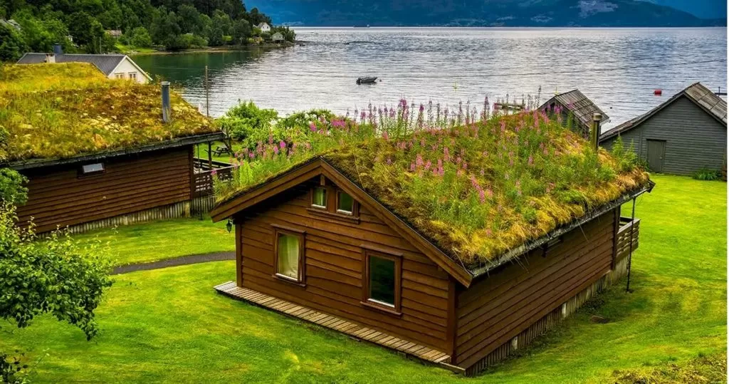 Garden Roof