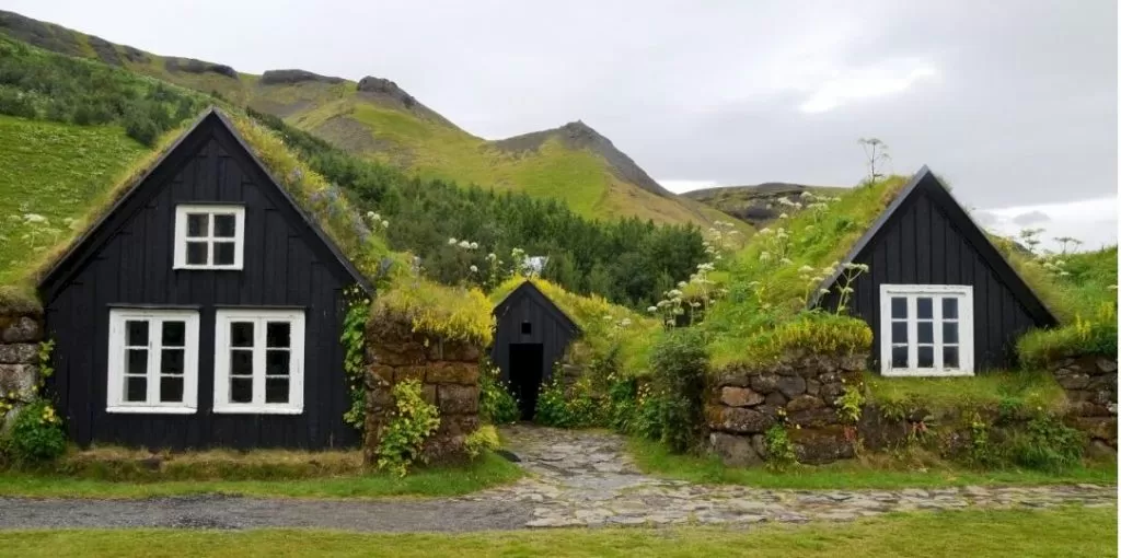 Green Roof Living