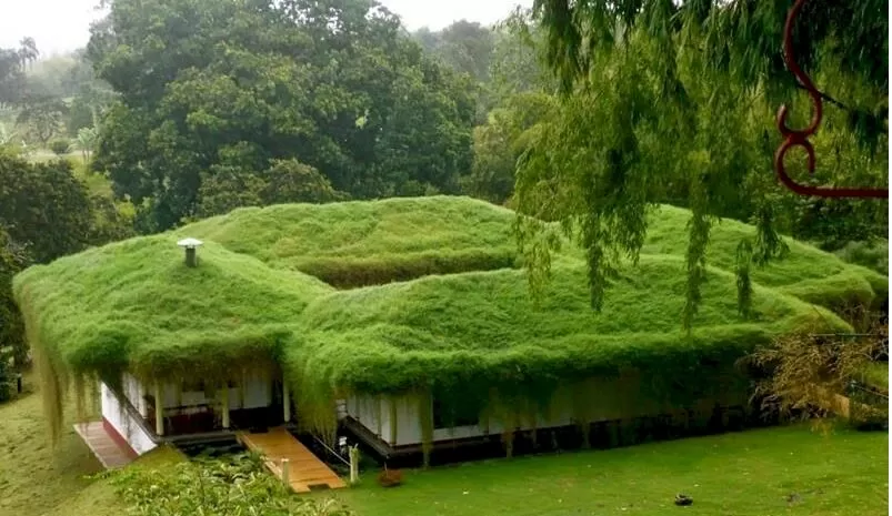 Green Roof