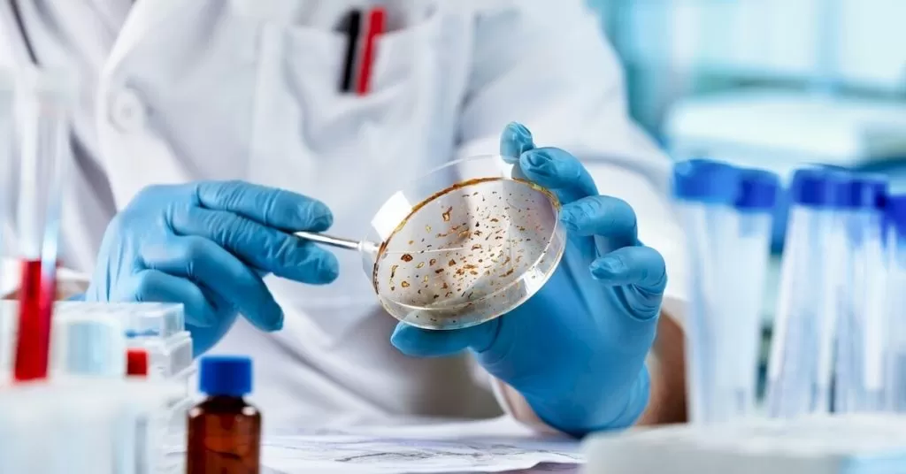 Lab Mold