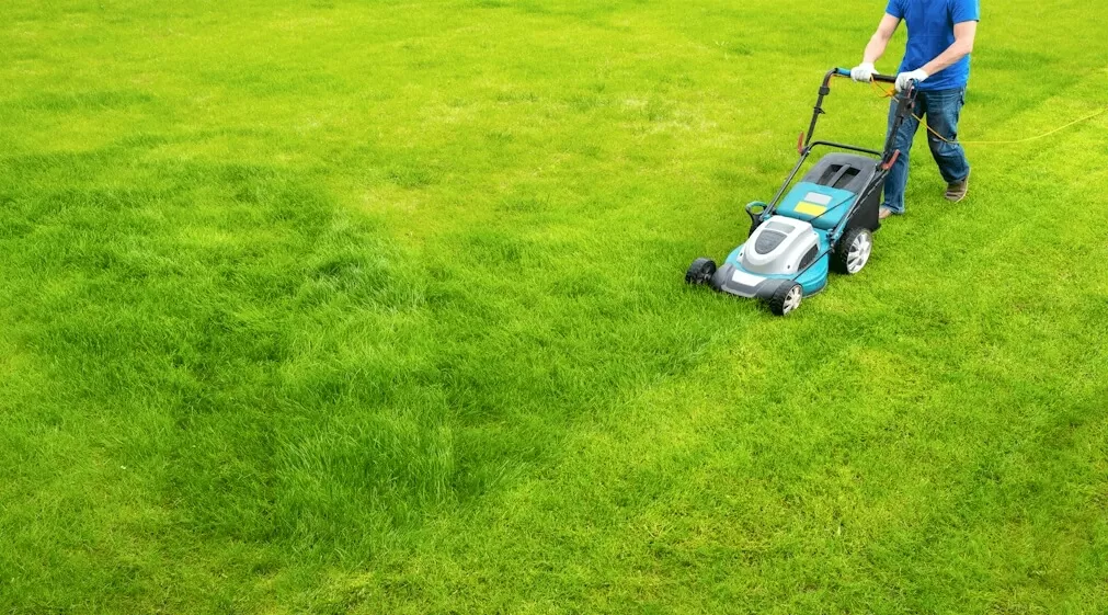 Lawn Service Ohio