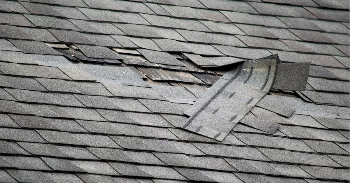 Lifted Shingles