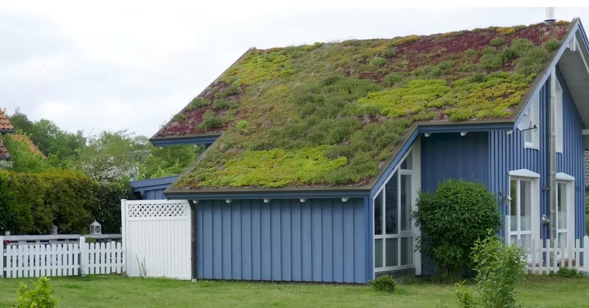 Living Green Roof