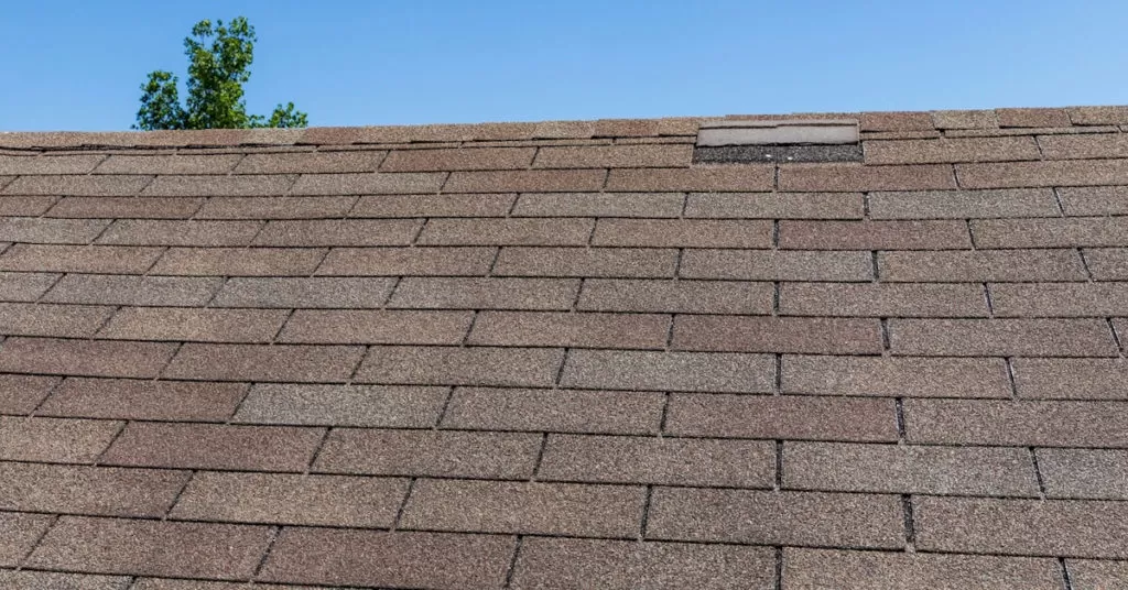 Missing Shingles1
