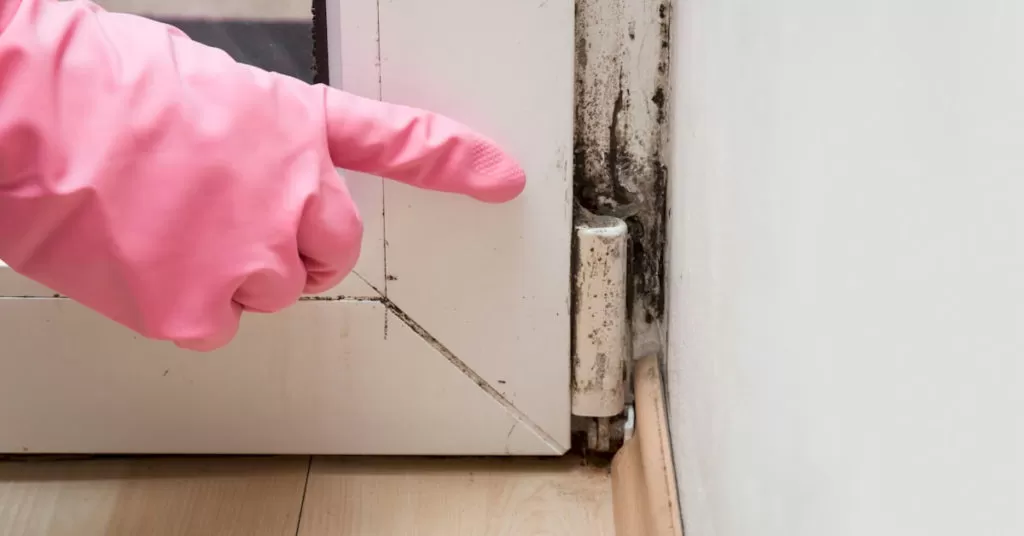 Mold Door