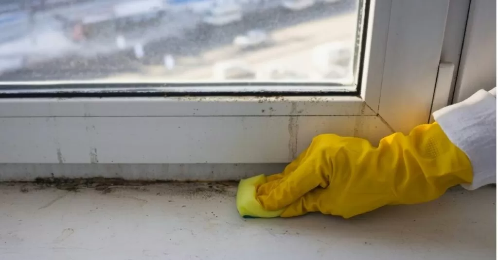 Removing Mold