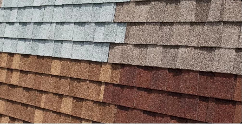 Shingles 1