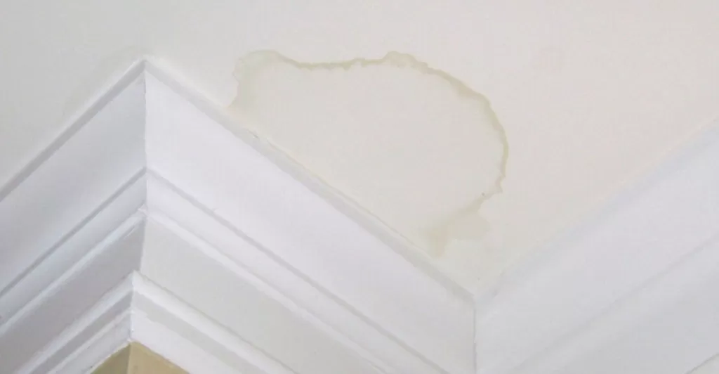 Water Spot On Roof