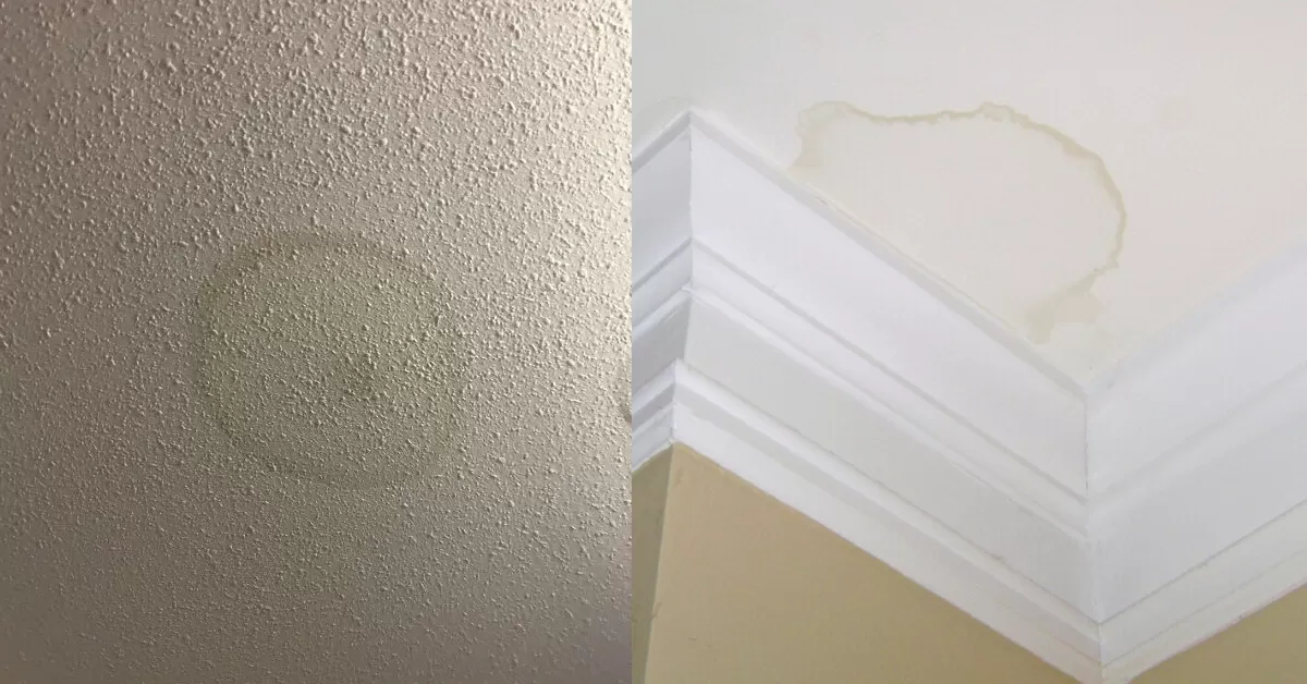 Water Spots On Ceiling