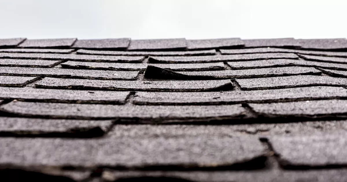 Wind Damaged Shingles