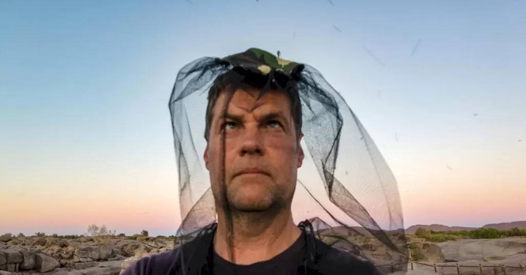 Mosquito Net