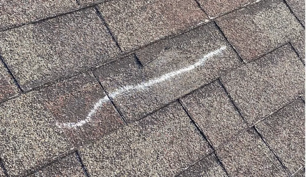 Roof Damage Shingle