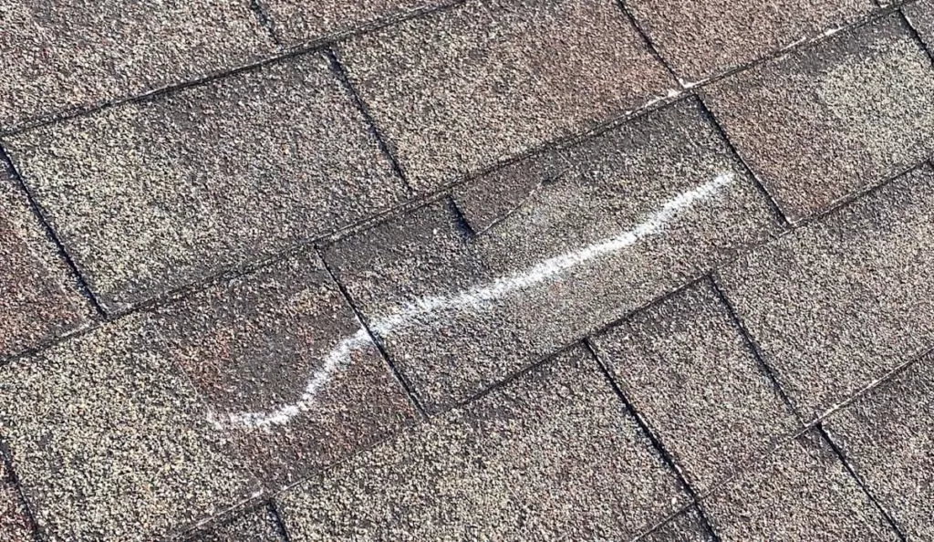 Wind Damage Shingle